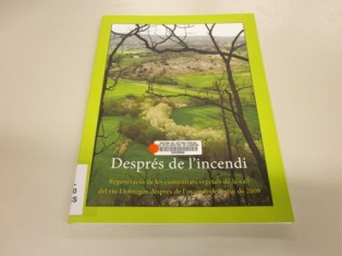 'Després de l'incendi'
